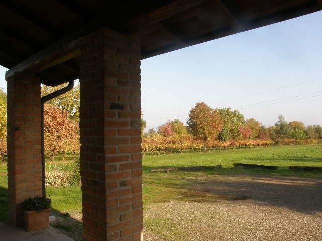 Agriturismo Bosco Del Fracasso Scandiano Εξωτερικό φωτογραφία